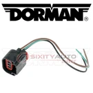Dorman Techoice Headlight Socket For 2007-2014 Jeep Patriot Electrical Ex. Fixed Price $18.81.