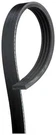 Serpentine Belt-premium Oe Micro-v Gates K040325. Fixed Price $40.38.