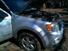 Passenger Axle Shaft Front 2.3L Vin Z 8TH Digit Fits 07-08 Escape 156743. Fixed Price $35.00.