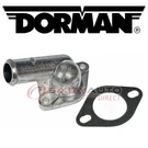 Dorman Engine Coolant Thermostat Housing For 1996-2002 Chevrolet Express Kn. Fixed Price $29.59.